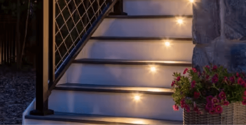stairs, railing, flower plant
