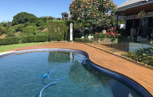 Pool, tree and plants in backyard, Sunny day